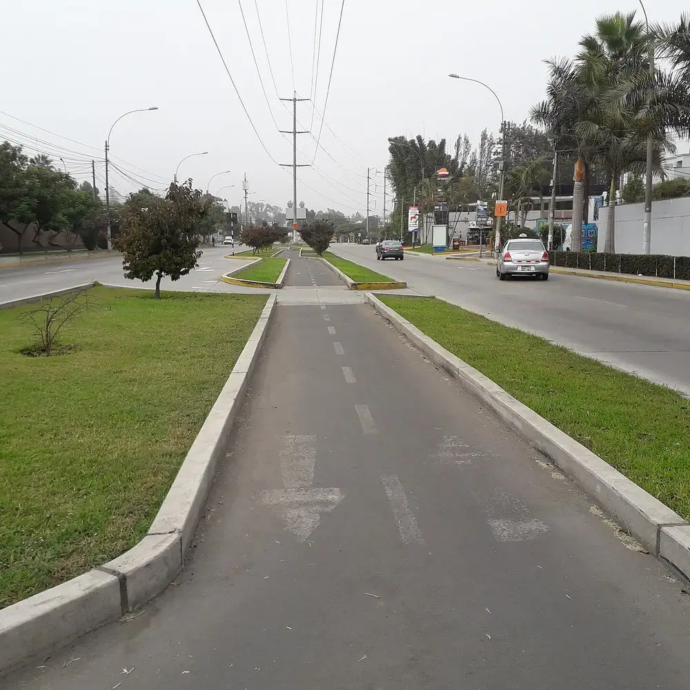 Avenida residencial de La Molina con berma central verde y palmeras
